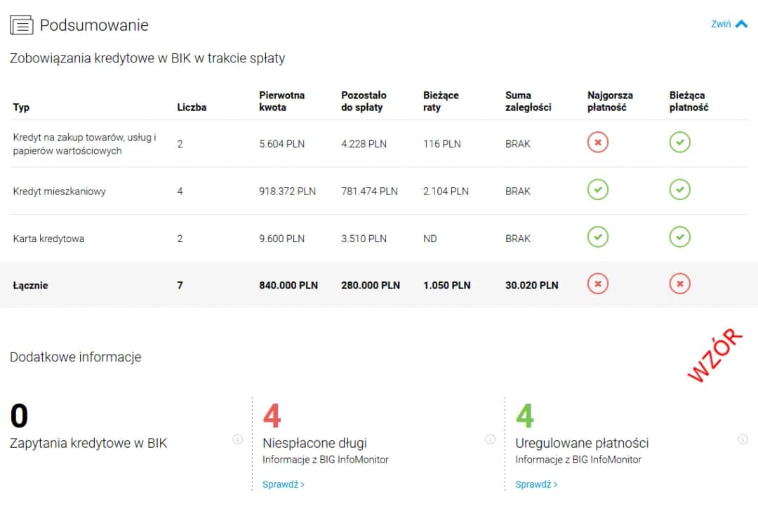 Raport BIK: Co zawiera i jak go czytać? Ekspert wyjaśnia krok po kroku